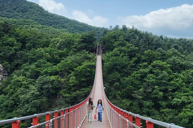 DMZ Tour Seoul to North Korea's 3rd Tunnel & Majang Lake Crossing - Tongilchon-gil and soybeans, plus Majang Lake suspension bridge if you add it