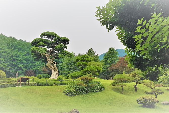 Easy private tour to Nami Island, Garden of Morning Calm - Guide style: the best days feel personal, not scripted
