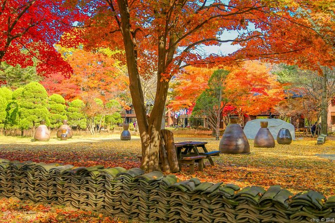Easy private tour to Nami Island, Garden of Morning Calm - Should you book this private Nami Island and Garden of Morning Calm tour?