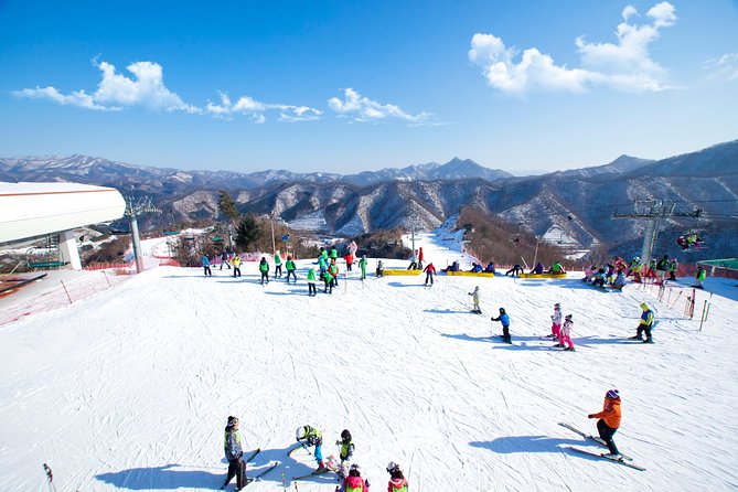 Elysian Gangchon Winter Ski with Nami Island Day Tour from Seoul - Key Things I’d Focus On