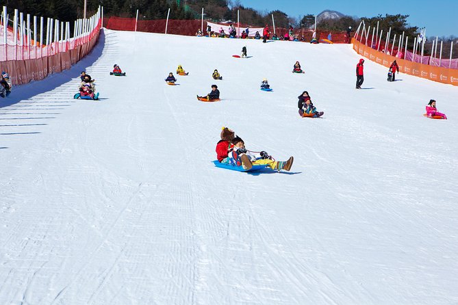 Elysian Gangchon Winter Ski with Nami Island Day Tour from Seoul - Timing, Weather, and the Small Friction Points That Matter