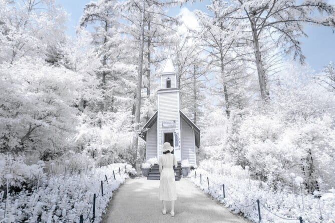 Eobi Ice Valley, Nami Island, Morning Calm and Rail Bike Seoul - Key highlights worth your attention