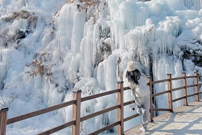 Eobi Ice Valley, Nami Island, Morning Calm and Rail Bike Seoul - A packed 12–13 hour route: what the day really feels like