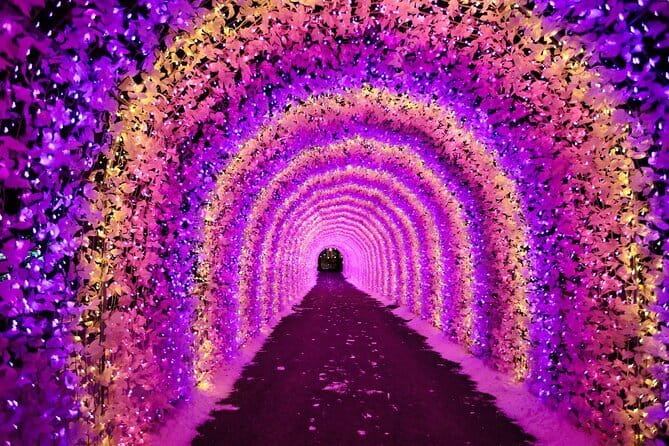 Eobi Ice Valley, Nami Island, Morning Calm and Rail Bike Seoul - Value check: what you pay ($87.48) and what that includes
