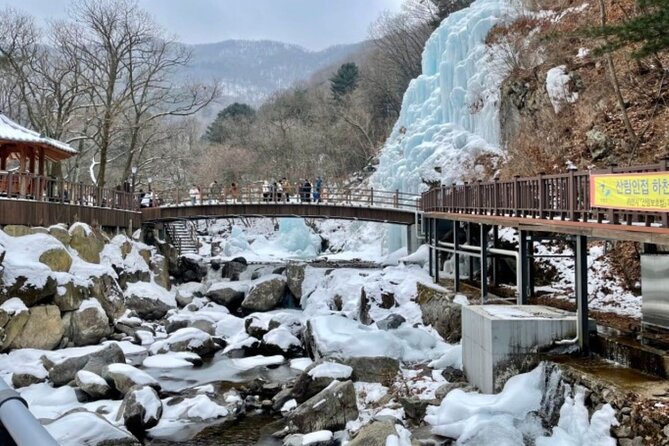 Eobi Ice Valley& Nami Island with Garden of Morning Calm Trip - Key highlights to look for
