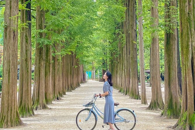 Eobi Ice Valley& Nami Island with Garden of Morning Calm Trip - Who this trip suits best (and who should consider alternatives)