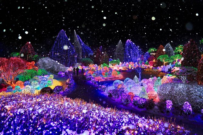 Eobi Ice Valley& Nami Island with Garden of Morning Calm Trip - How Eobi Ice Valley changes the winter version of this day