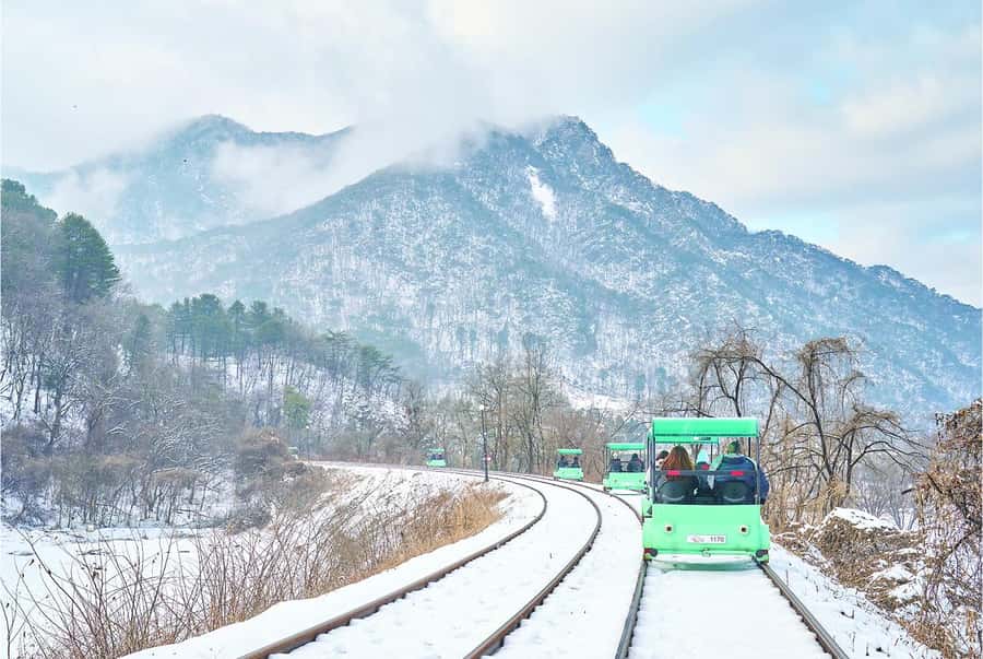 Eobi Ice Valley & Nami (+ Light Festival, Railbike, Alpaca) - Key Things That Make This Winter Day Trip Work