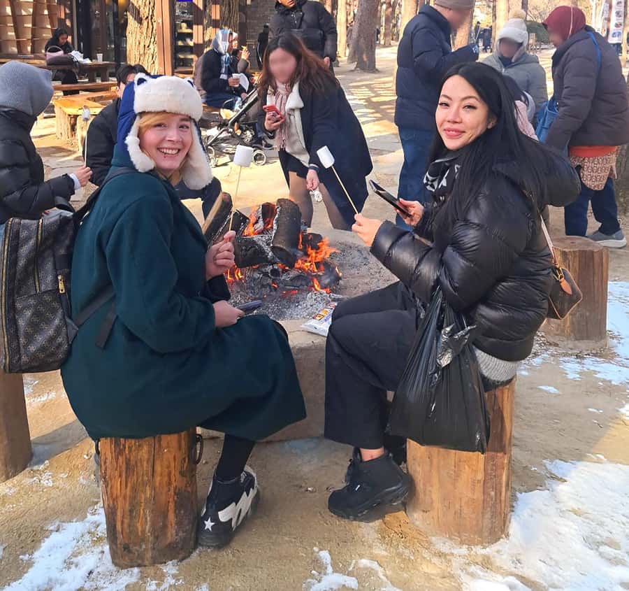 Eobi Ice Valley & Nami (+ Light Festival, Railbike, Alpaca) - Optional Gangchon Railbike and Alpaca World Add-ons