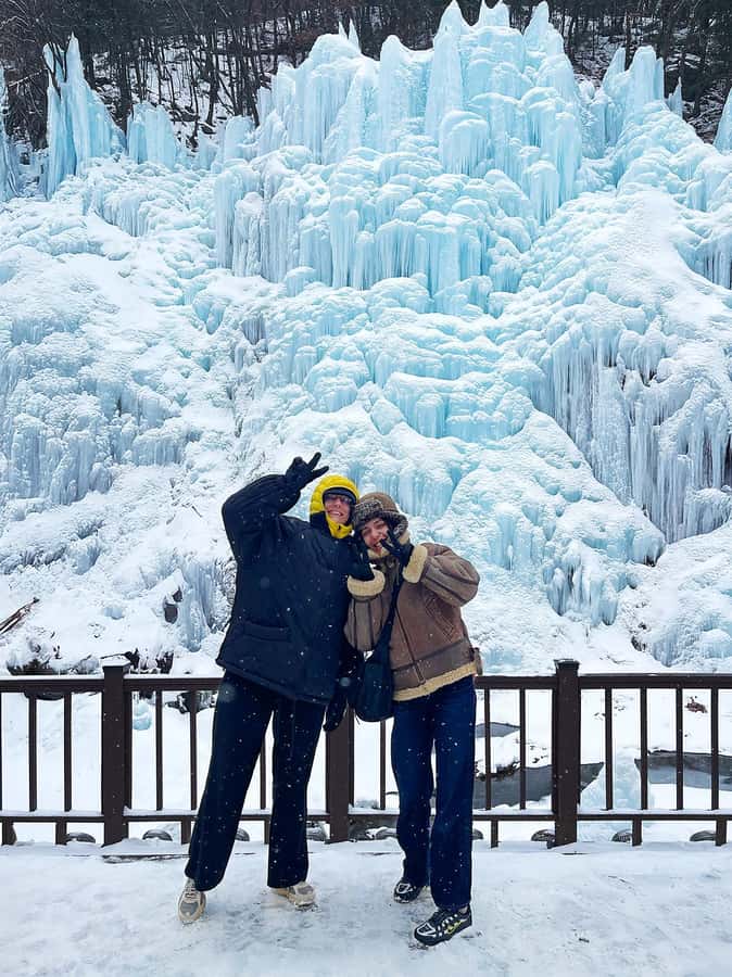 Eobi Ice Valley & Nami (+ Light Festival, Railbike, Alpaca) - The Day Trip From Seoul: Transfers, pacing, and group size realities
