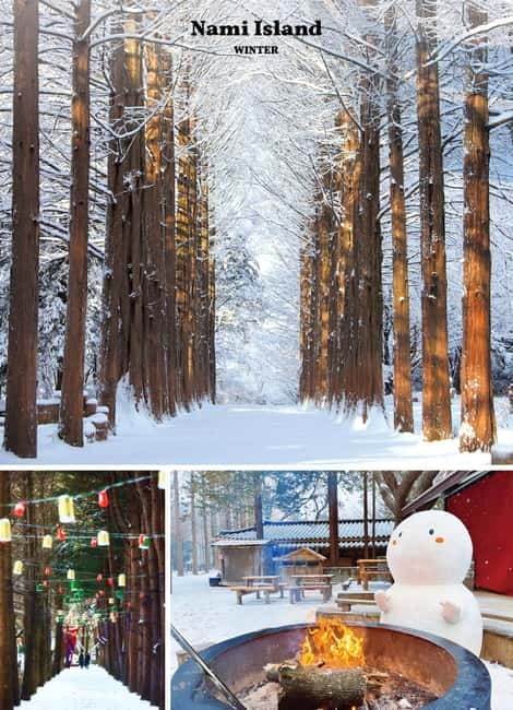 Eobi Ice Valley & Nami & Railbike & Petite & Morning Calm - Gangchon Rail Park Railbike: why this isn’t just transportation