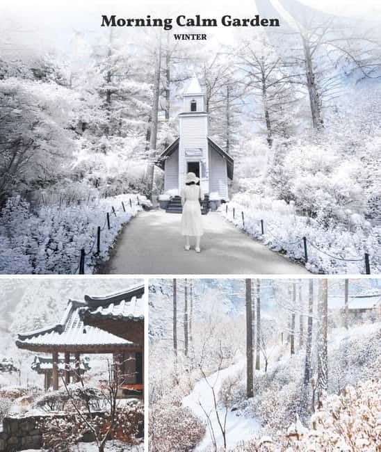 Eobi Ice Valley & Nami & Railbike & Petite & Morning Calm - Namiseom (Nami Island) in winter: romantic walking, not just a famous name