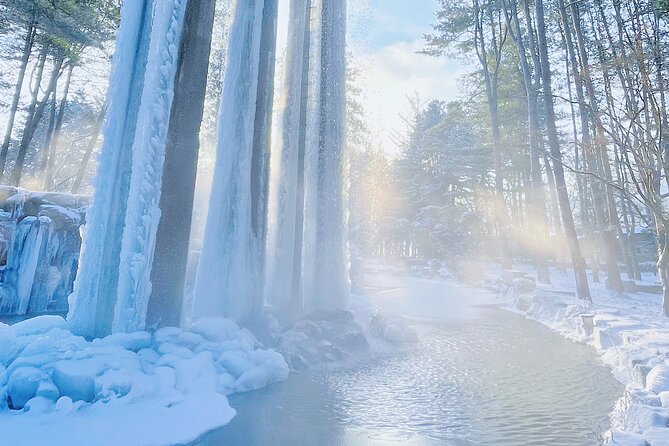 Eobi Ice Wall & Nami Island & Morning Calm Light Festival - Price and value: what $74.33 really buys you