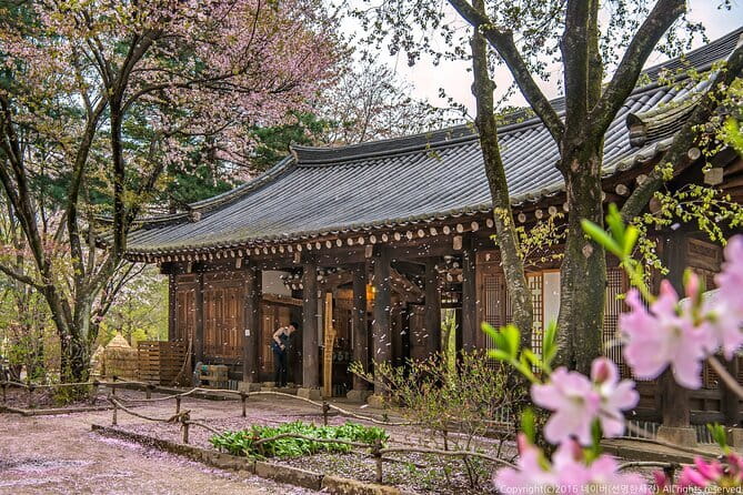 Eobi+Nami+Hanbok Tour with Rail Bike or Strawberry Option - Key things to know before you go