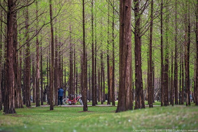 Eobi+Nami+Hanbok Tour with Rail Bike or Strawberry Option - Eobi Ice Valley: Fast Scenic Time and Slippery-Shoe Reality