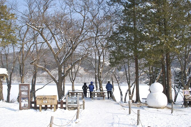 Eobi Valley(Winter), Strawberry, Nami Island & Railbike fr Seoul - What you get for the price: value vs. what you still pay for