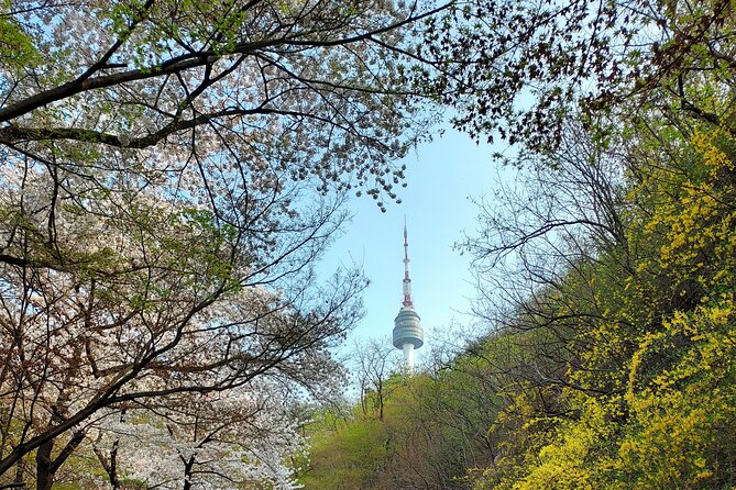 Essence of Seoul, 100% Private Full Day City Tour - Insadong’s Main Street and Alleyways: Shopping With Culture