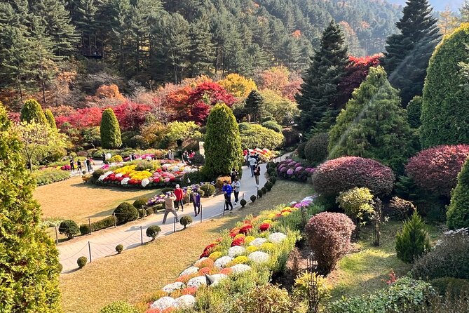 Four Seasons of Nami Island with Garden of Morning Calm Tour - Price and value: what $88 realistically buys you