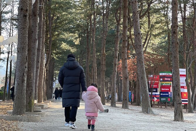 Four Seasons of Nami Island with Garden of Morning Calm Tour - Should you book the Nami Island and Garden of Morning Calm tour?