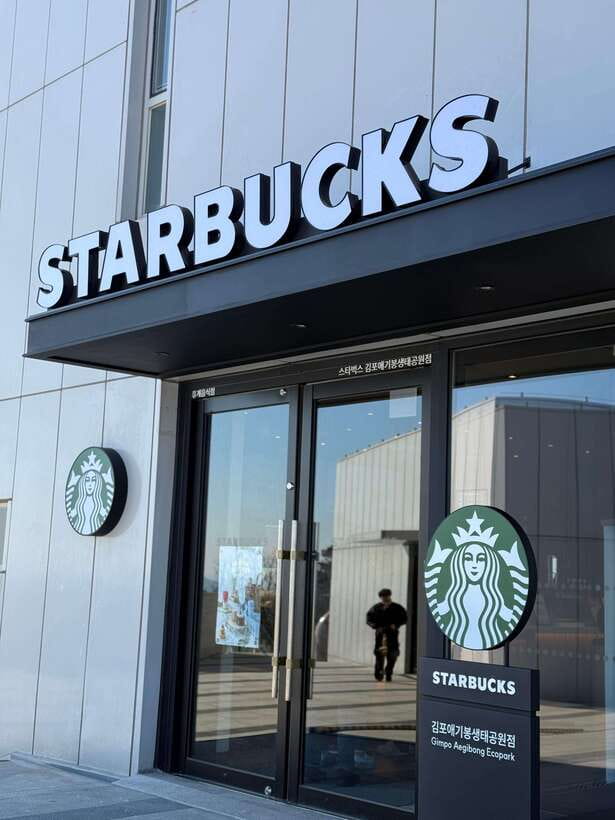 From Seoul: Aegibong Starbucks Observatory & DMZ View - Starbucks at Aegibong Peace Park: coffee with the serious backdrop