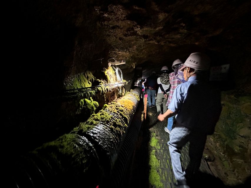 From Seoul: Cheorwon DMZ and 2nd Tunnel Tour with Lunch - Walking the 2nd Tunnel: The Main Event, With Real Footing Issues