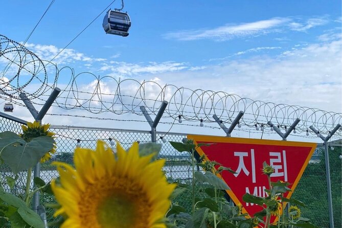 From Seoul: Cost-Benefit DMZ Shuttle Bus tour - Dokgae Bridge, Pyeonghwa Nuri Park, and Beat 131 Bunker: where the names start to connect