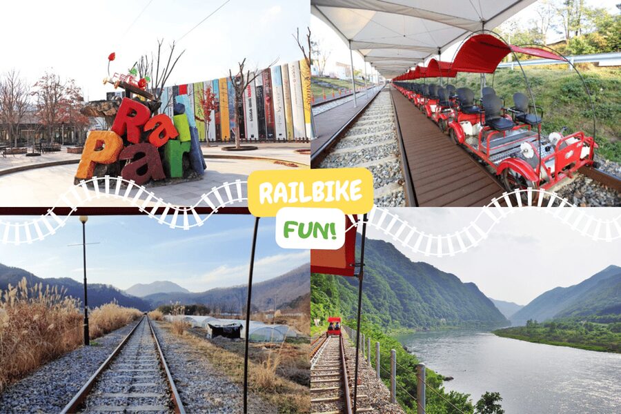 From Seoul: Full Day Trip to Alpaca Farm with Rail Bike - Key things I’d plan for