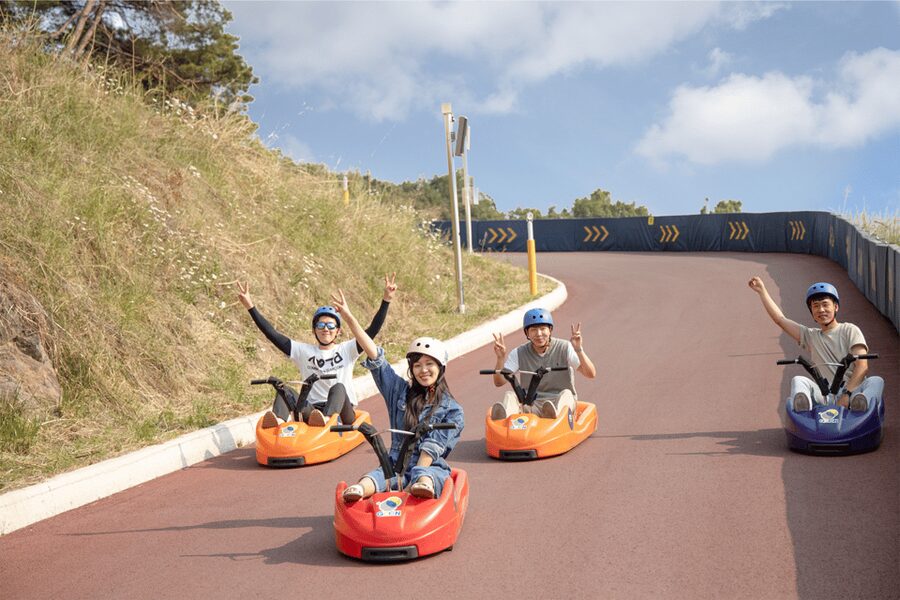 From Seoul: Full Day Trip to Alpaca Farm with Rail Bike - Should you book this Alpaca Farm + rail bike/luge day trip?