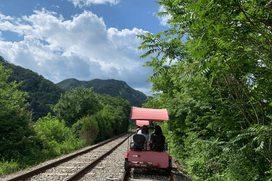 From Seoul: Full Day Trip to Alpaca Farm with Rail Bike - Vivaldi Park luge: speed without snow, with age rules