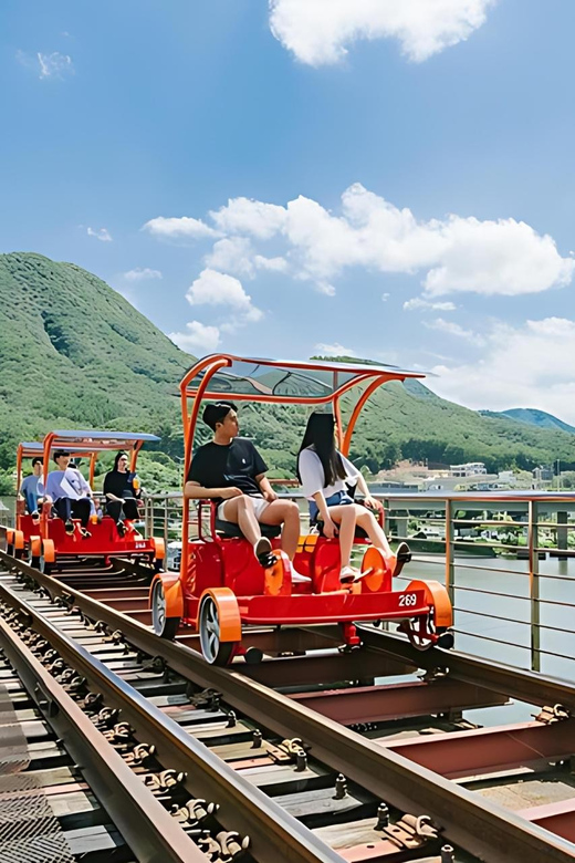 From Seoul: Full Day Trip to Alpaca Farm with Rail Bike - Lunch and timing: how to not feel rushed