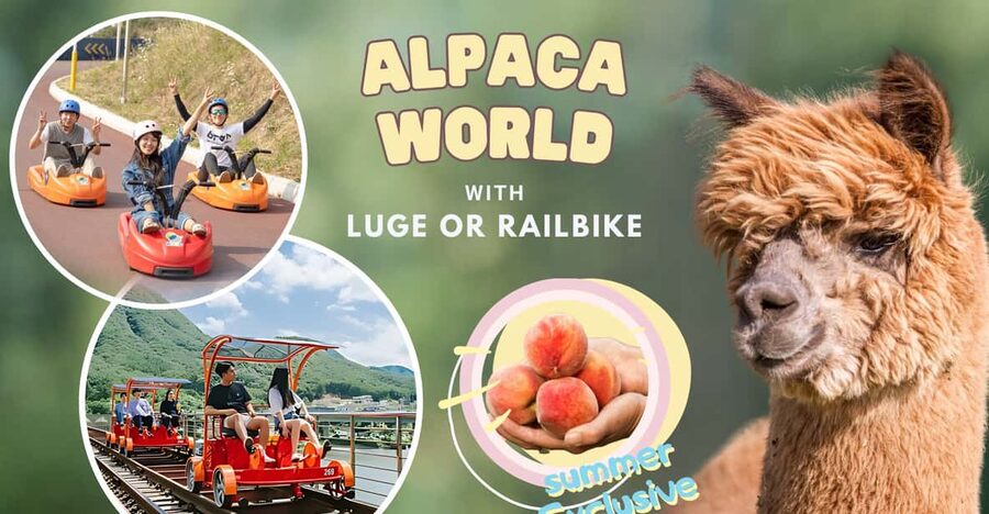 From Seoul: Full Day Trip to Alpaca Farm with Rail Bike - Who this tour fits (and who should skip)