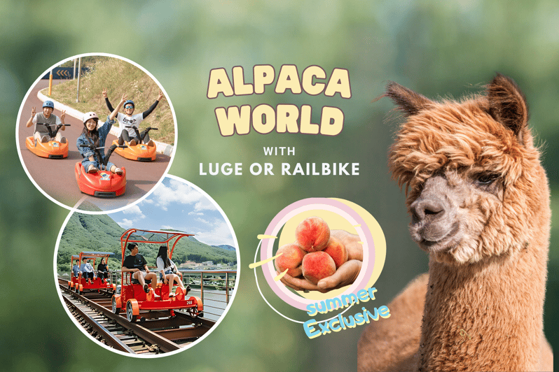 From Seoul: Full Day Trip to Alpaca Farm with Rail Bike - Alpaca World: Korea’s biggest farm and more than alpacas