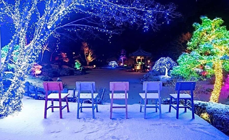 From Seoul: Hwacheon Ice Fishing and Lighting Festival Tour - Key things to know before you go