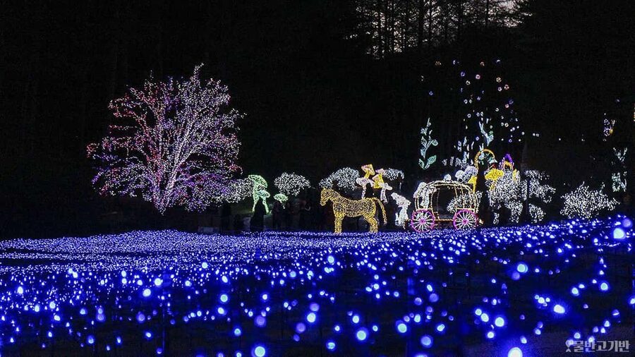 From Seoul: Hwacheon Ice Fishing and Lighting Festival Tour - The Big Idea: Ice Fishing by Day, Light Festival by Night