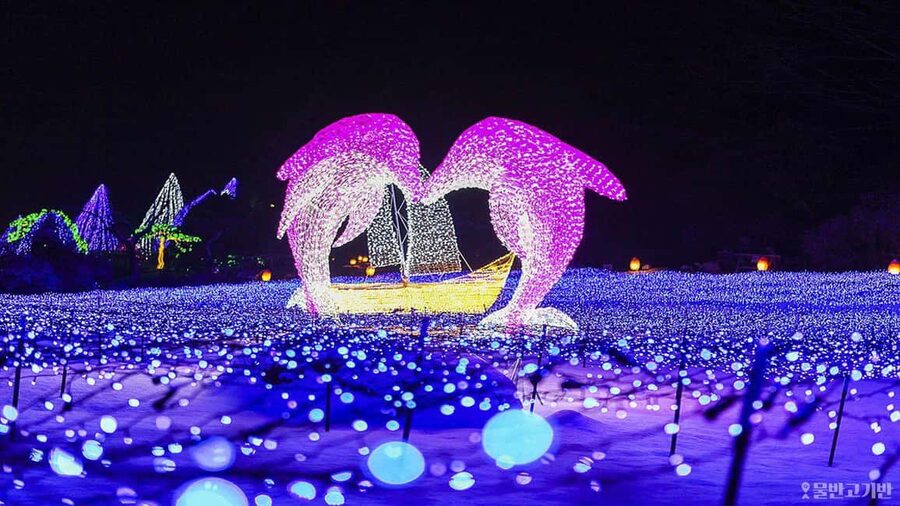 From Seoul: Hwacheon Ice Fishing and Lighting Festival Tour - Hwacheon Sancheoneo Ice Festival: The Part You’ll Actually Remember