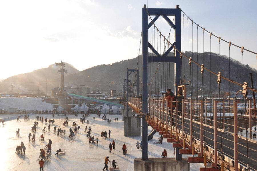 From Seoul: Hwacheon Ice Fishing and Lighting Festival Tour - Garden of Morning Calm Light Festival: A Winter-Only Night Walk