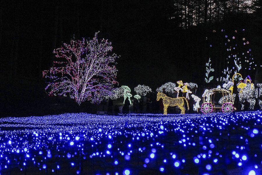 From Seoul: Hwacheon Ice Fishing and Lighting Festival Tour - Price and Value: What $67 Buys You in a Long Day
