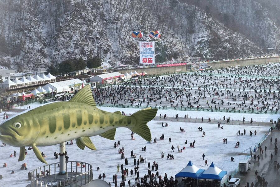 From Seoul: Hwacheon Ice Fishing and Lighting Festival Tour - Who This Tour Fits Best (and Who Might Want Something Else)