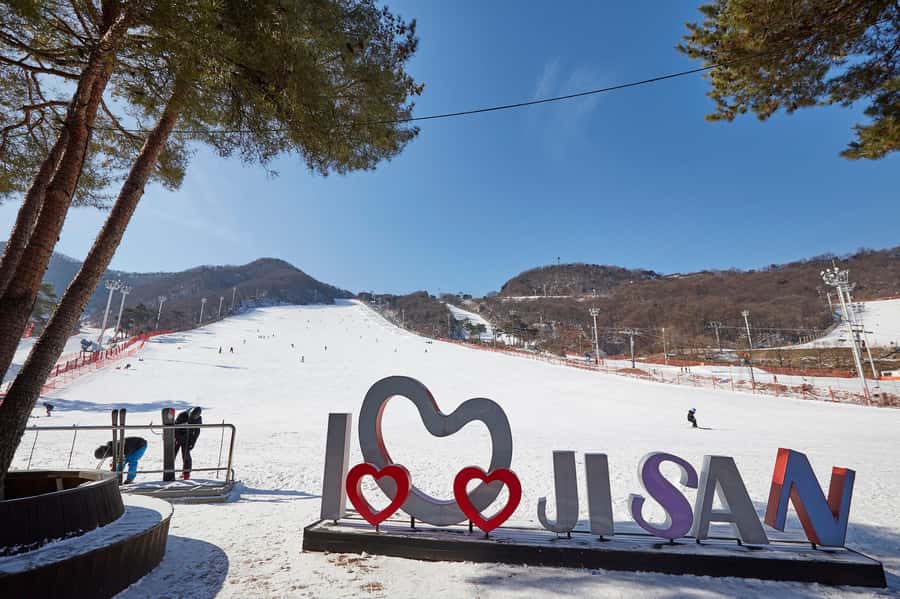 From Seoul: Korea Ski Tour - Jisan Forest Resort - Who should book this ski tour (and who should skip it)