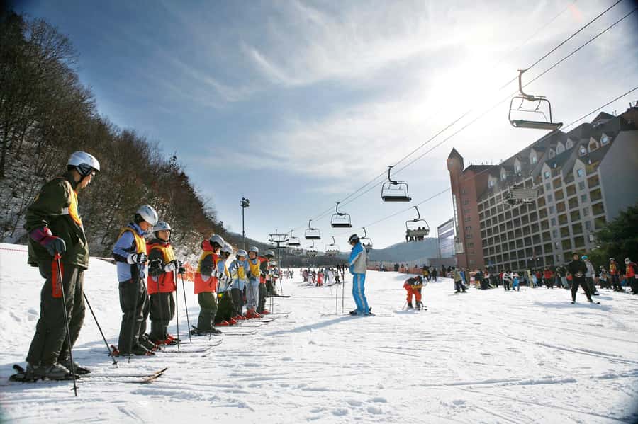 From Seoul: Korea Ski Tour - Jisan Forest Resort - Seoul to Jisan Forest Resort: what this ski day trip is really for