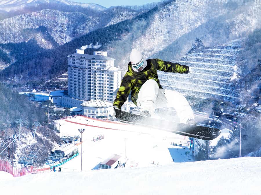 From Seoul: Korea Ski Tour - Jisan Forest Resort - Lunch and free skiing time: your chance to practice for real