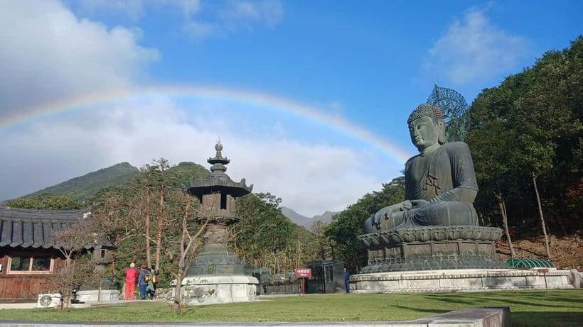 From Seoul: Korea Spring Cherry Blossom Day Tour - Food and comfort: plan for what’s not included