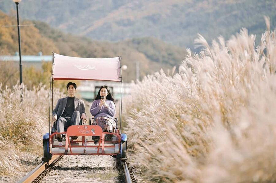 From Seoul: Nami Island, K-drama Garden & Rail Bike Day Tour - Morning Calm Garden: Winter Lights, Eobi Valley, and Slow Stroll Energy