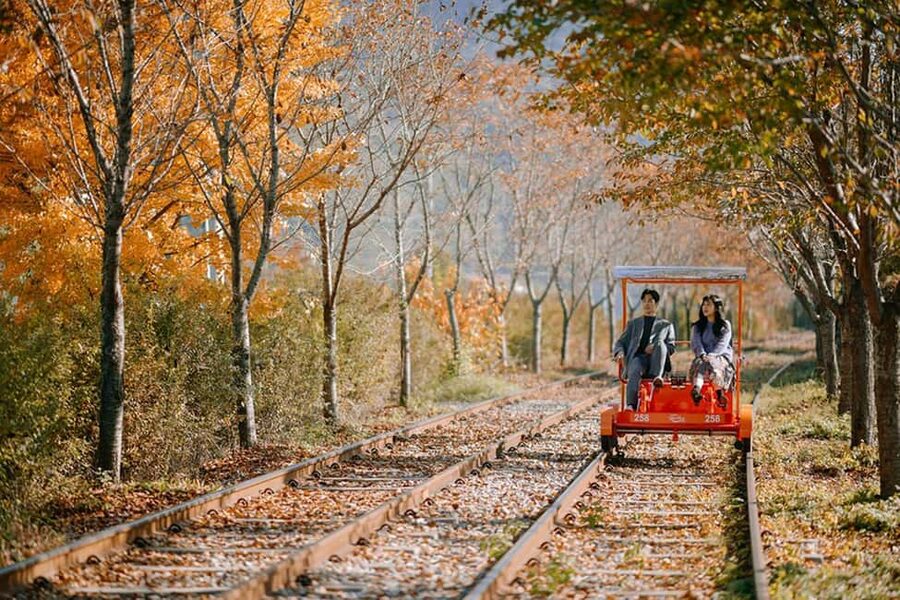 From Seoul: Nami Island, K-drama Garden & Rail Bike Day Tour - Gangchon Rail Park Rail Bike: The Most Fun Part If You Pick the Option