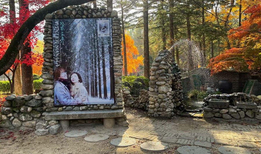 From Seoul: Nami Island, K-drama Garden & Rail Bike Day Tour - How the Timing Works From Seoul (And Why Winter Shifts the Order)
