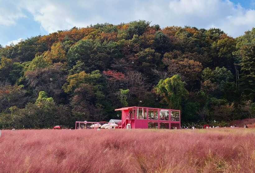 From Seoul: Pocheon, Sanjung Lake and Bidulginang Fall Trip - Transfers From Seoul: The Convenience You’re Actually Paying For