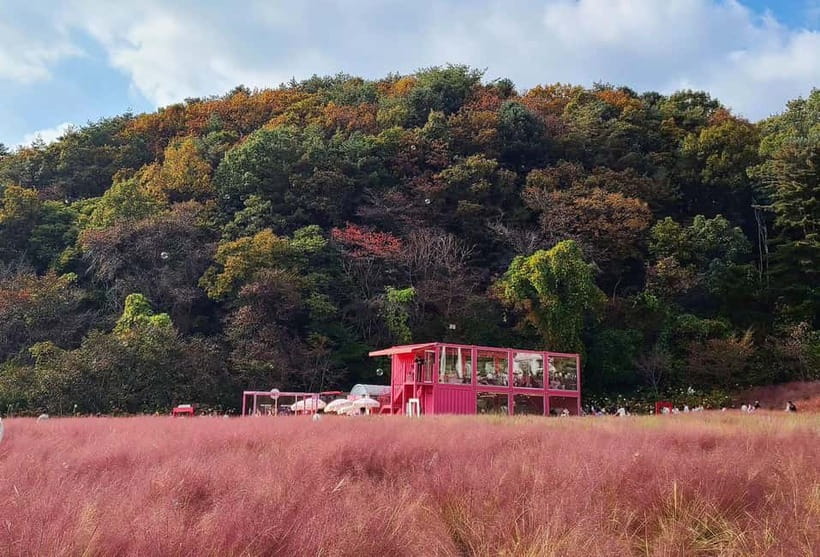 From Seoul: Pocheon, Sanjung Lake and Bidulginang Fall Trip - Sanjung Lake Autumn Colors: Your Calm, Scenic Anchor