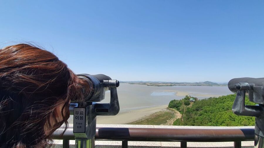 From Seoul: Private DMZ and Odusan Observatory Full-Day Tour - From Seoul to the DMZ: what a private drive really buys you