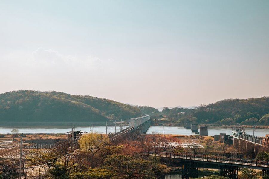 From Seoul: Private DMZ and Odusan Observatory Full-Day Tour - Lunch of North Korean specialties: eating makes the story human