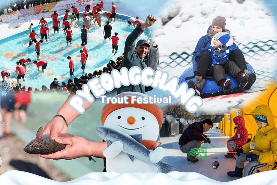 From Seoul: Pyeongchang Trout Festival - Ice fishing on drilled holes: open-air or tent fishing